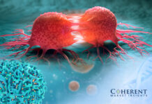 car t cell therapy