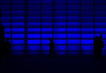 The Top Ten Things You Need to Know About Crypto Right Now-A Primer The Top Ten Things You Need to Know About Crypto Right Now-A Primer