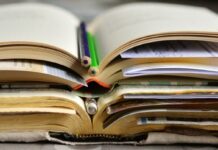 6 Great Tips for You If You’re Trying to Write a Novel writing