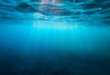 DotCom Magazine Reports New Likelihood of Life at The Bottom of Our Oceans, And Maybe In Other Planets’ Oceans as Well Life at The Bottom of Our Oceans