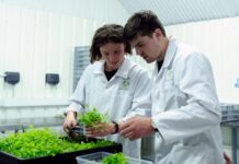 You Might Want To Think About Getting Into Indoor Farming farming