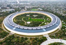 VCs Missing Silicon Valley Investments May Be In For a Spanking VCs Missing Silicon Valley Investments May Be In For a Spanking