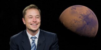 Elon Musk's SpaceX on paid advertisement on Elon Musk's Twitter as it rolls out it's latest product