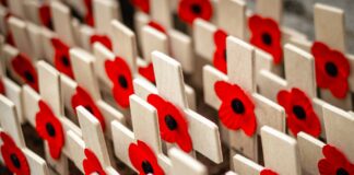 Armistice Day