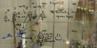 Functional group