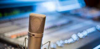 Voice actor