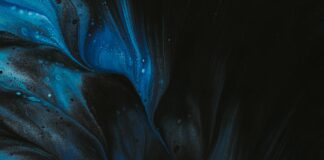 Mina Crypto – A Must Read Comprehensive Guide Mina Crypto