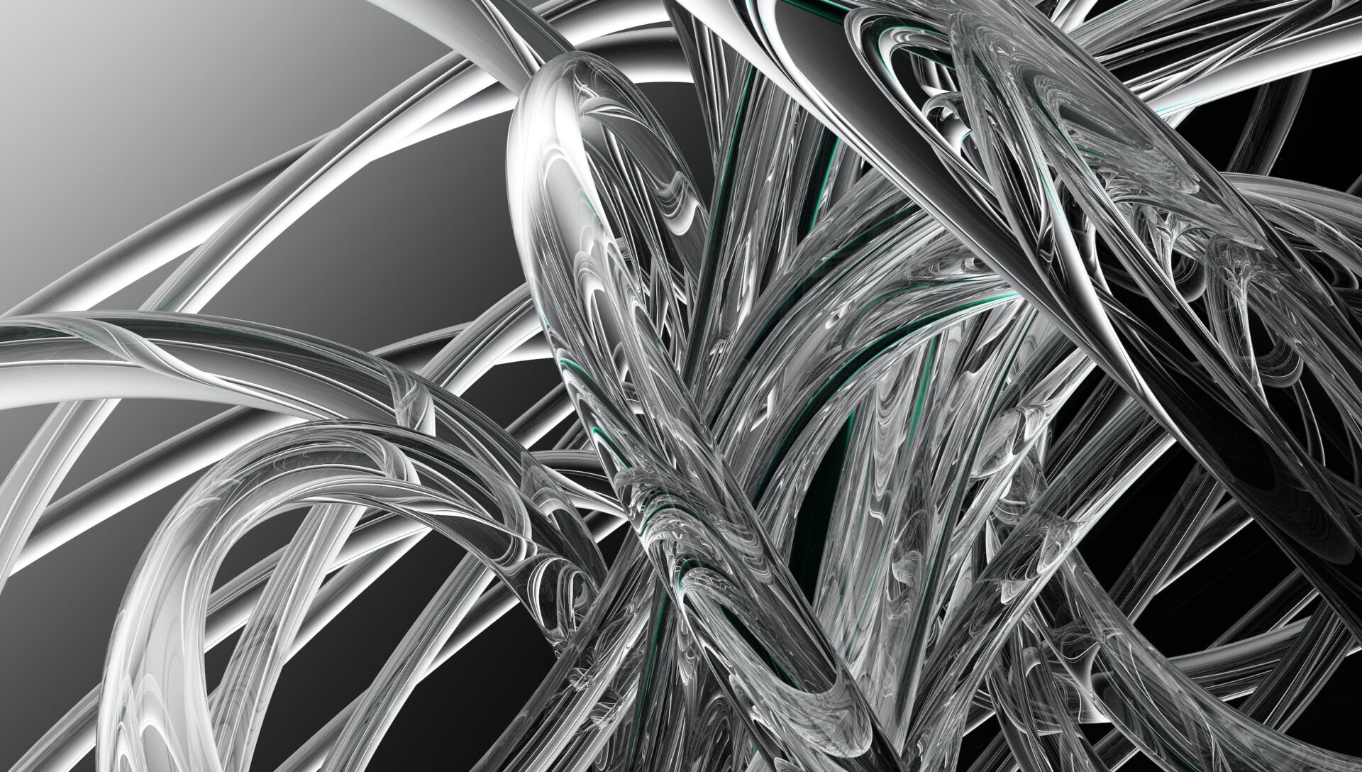 Cat Fish Oil A Comprehensive Guide MagazineInfluencers And