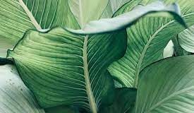 Postbiotics – A Comprehensive Guide Postbiotics