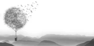 Pms Gummies – Top Ten Important Things You Need To Know Pms Gummies