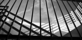 Surferseo Unleashing the Potential of Surferseo Surferseo