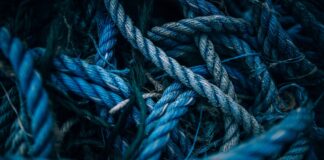 Autophagyin Focus: 10 Incredible Facts and Benefits Autophagy