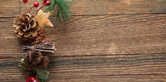 Neovim – Top Ten Powerful Important Things You Need To Know Neovim