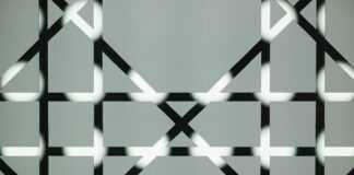 Envato – Top Five Important Things You Need To Know Envato