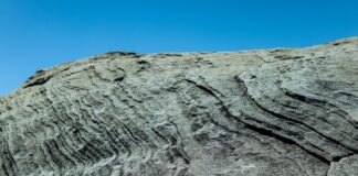 Itu Interesting Facts and Benefits You Need to Know Itu