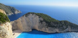 Microdose Mushroom – A Must Read Comprehensive Guide Microdose Mushroom