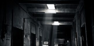 Veryable – Top Ten Important Things You Need To Know Veryable