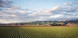 Reveddit – A Comprehensive Guide Reveddit