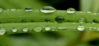 Sendwave – Top Five Important Things You Need To Know Sendwave