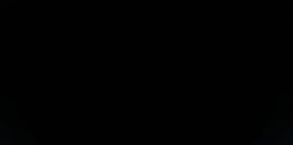 Coffea Arabica