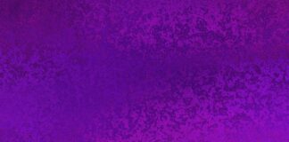 vyvamind – A Comprehensive Guide vyvamind