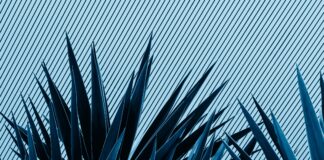 Reconfigurable Origami Structures