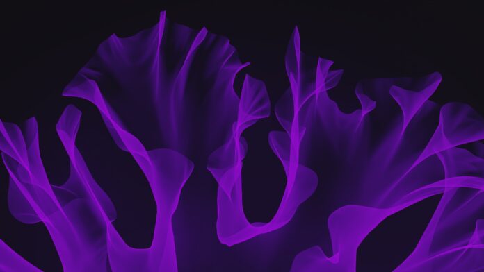 Voxel