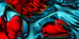 Plant-Based Food Technologies