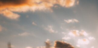 Robotic Process Automation