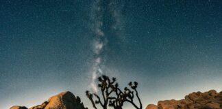 Ai Writing