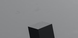 Netcapital