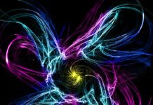 Flowspace – Top Ten Most Important Things You Need To Know Flowspace