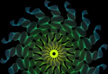 Hotel Chocolat – A Fascinating Comprehensive Guide Hotel Chocolat