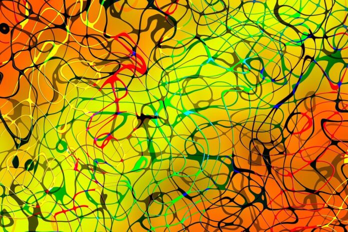 Plum Fintech Plum Fintech