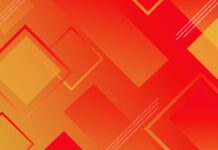 Spinny – A Fascinating Comprehensive Guide Spinny