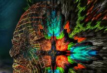 Rocketreach – Top Ten Most Important Things You Need To Know Rocketreach