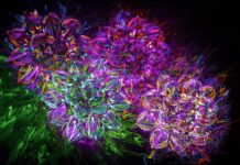 Gostudent – Top Ten Things You Need To Know Gostudent