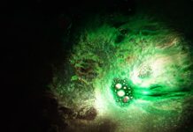 Medtrum – A Fascinating Comprehensive Guide Medtrum