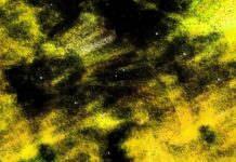 Storyshots – A Must Read Comprehensive Guide Storyshots