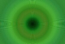 OASIS Immersion – Top Ten Important Things You Need To Know OASIS Immersion