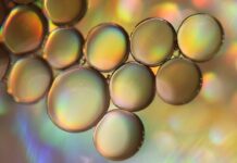 Booktok – A Must Read Comprehensive Guide