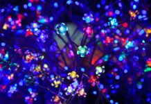 Alacritty – A Must Read Comprehensive Guide Alacritty