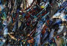 Rodan – A Fascinating Comprehensive Guide rodan