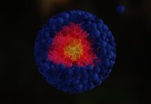 Micro Frontend