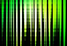 Whitewash – Top Ten Things You Need To Know Whitewash