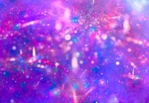 Senston – Top Ten Most Important Things You Need To Know Senston