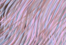 Hevo Data – A Comprehensive Guide Hevo Data