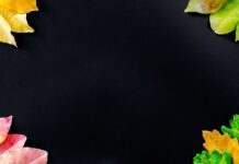 Ookla
