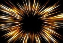 Poly – A Fascinating Comprehensive Guide Poly