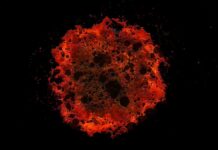 KnowBe4 – A Fascinating Comprehensive Guide KnowBe4